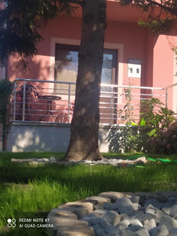 גולובאץ Studio 2 מראה חיצוני תמונה